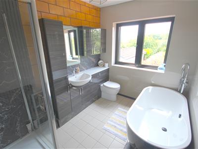 Picture 21